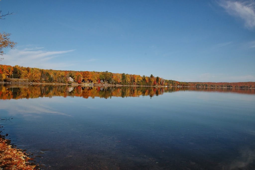 Loralea Country Inn Resort | 17560 ON-35, Algonquin Highlands, ON K0M 1J2, Canada | Phone: (800) 461-6557