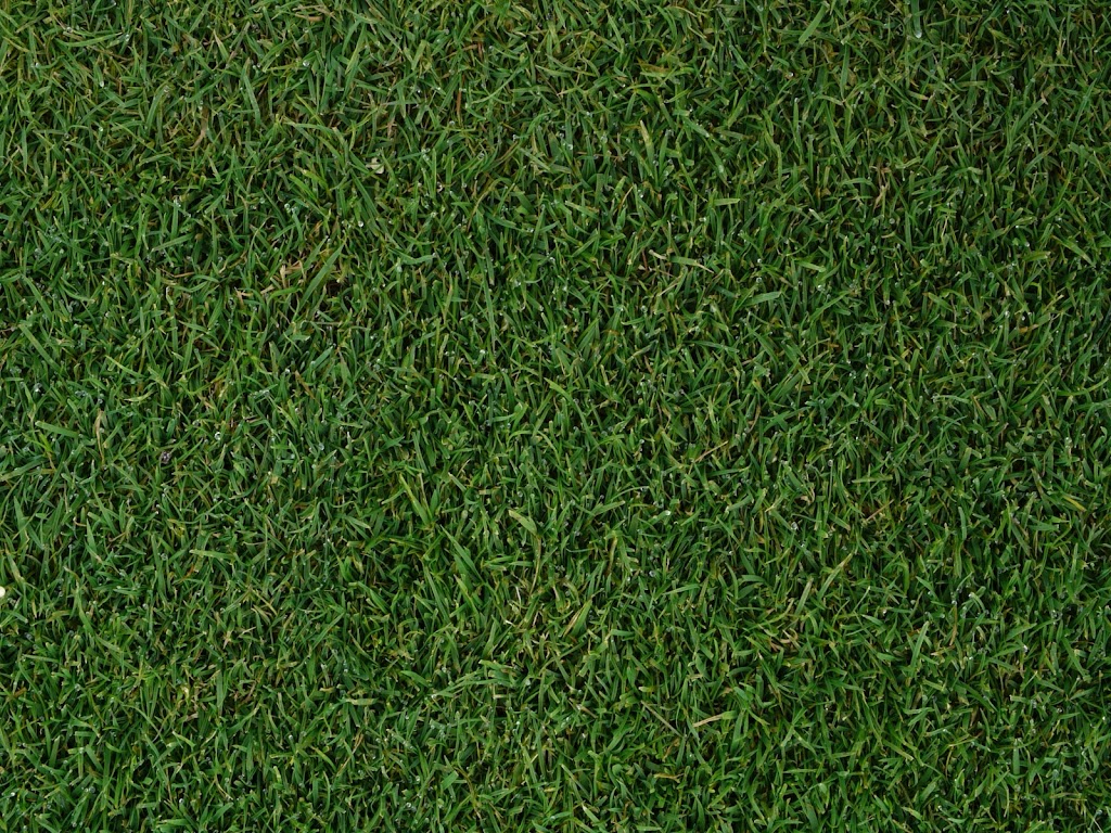 Manderley Turf Products Calgary | 3090 52 St SE, Calgary, AB T2B 1N2, Canada | Phone: (888) 225-3885 Manderley Turf Products Calgary | 3090 52 St SE, Calgary, AB T2B 1N2, Canada | Phone: (888) 225-3885