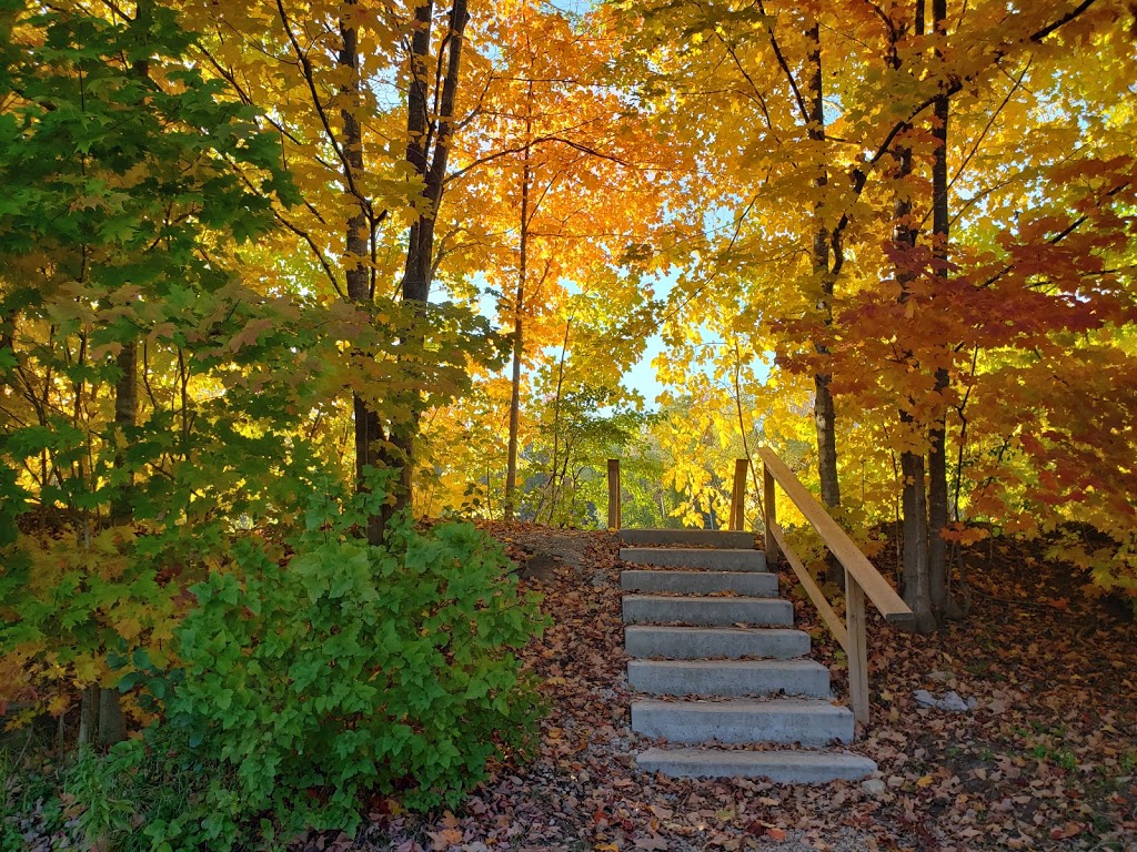 Auburn Riverside Retreat | 38382 Blyth Rd, Auburn, ON N0M 1E0, Canada | Phone: (519) 526-7238
