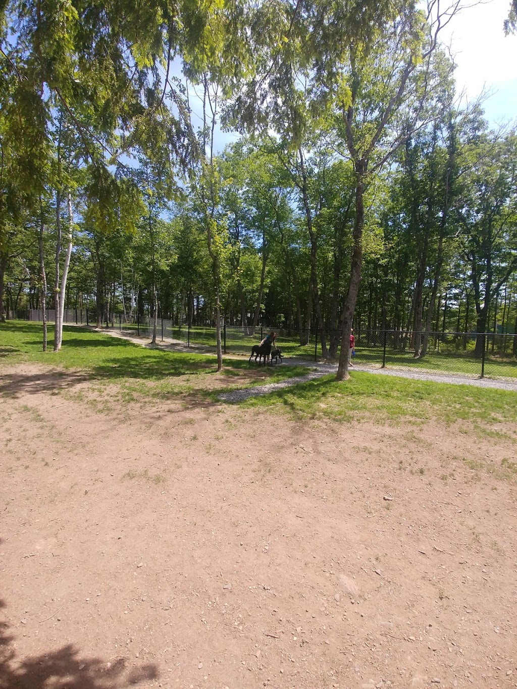 South Shore Vet Dog Park | 543 Glen Allan Dr, Bridgewater, NS B4V 0A8, Canada | Phone: (902) 543-4651