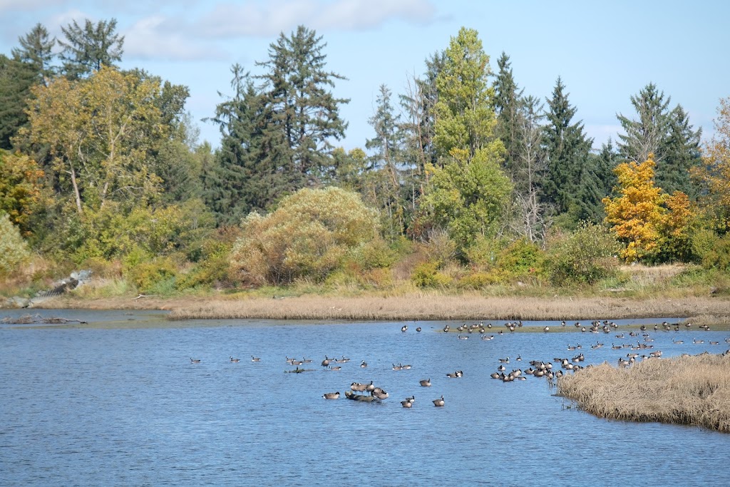 Courtenay Airpark (CAH3) | 100 20th St, Courtenay, BC V9N 8B1, Canada | Phone: (250) 334-8545