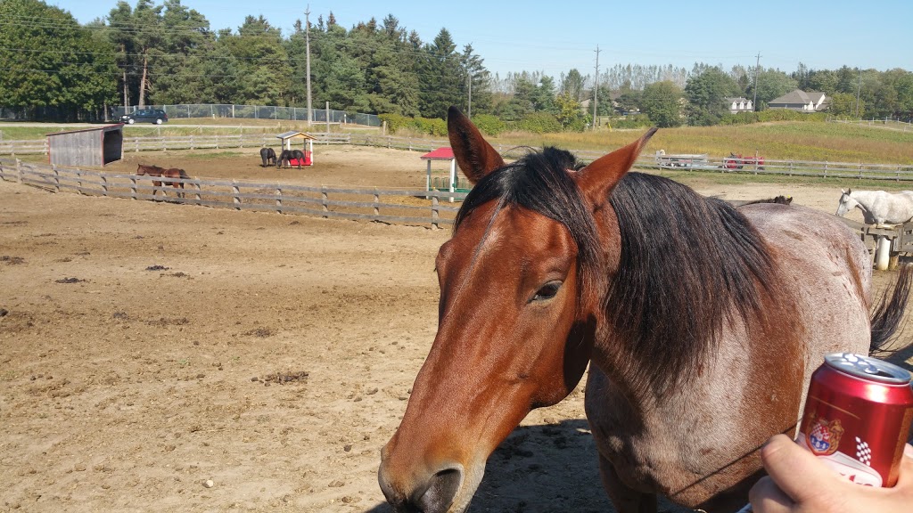 Jäger Ranch | 1209a Snyders Rd E, Baden, ON N3A 3J5, Canada | Phone: (519) 729-6525