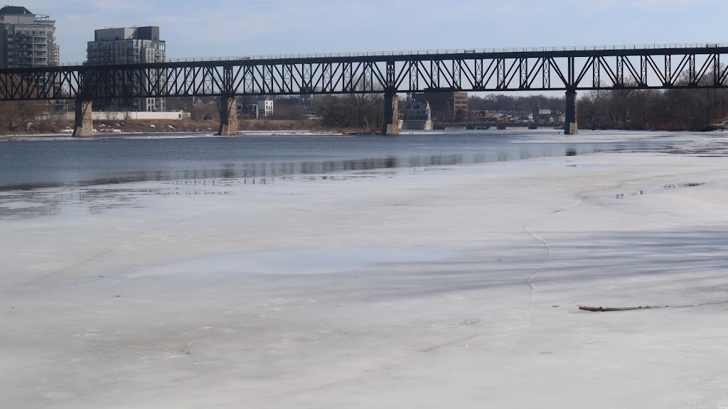 Cambridge Rowing Club | George St N, Cambridge, ON N1S 4X6, Canada | Phone: (226) 218-1335
