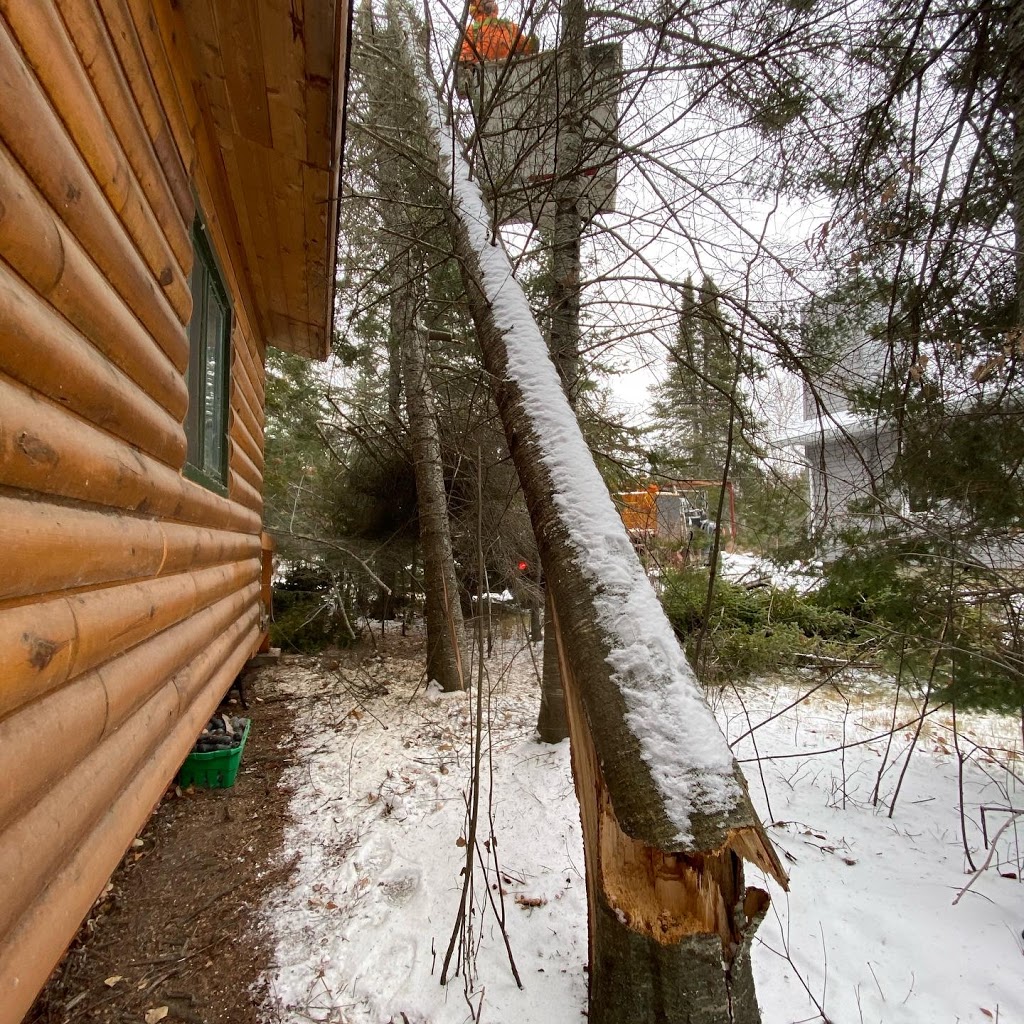 Alpha Forestry Solutions | 71 Lynnwood Dr, Traverse Bay, MB R0E 2A0, Canada | Phone: (204) 782-2043