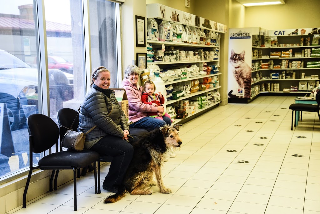 VCA Canada Crowfoot Animal Hospital | 150 Crowfoot Crescent NW #211, Calgary, AB T3G 3T2, Canada | Phone: (403) 241-8944