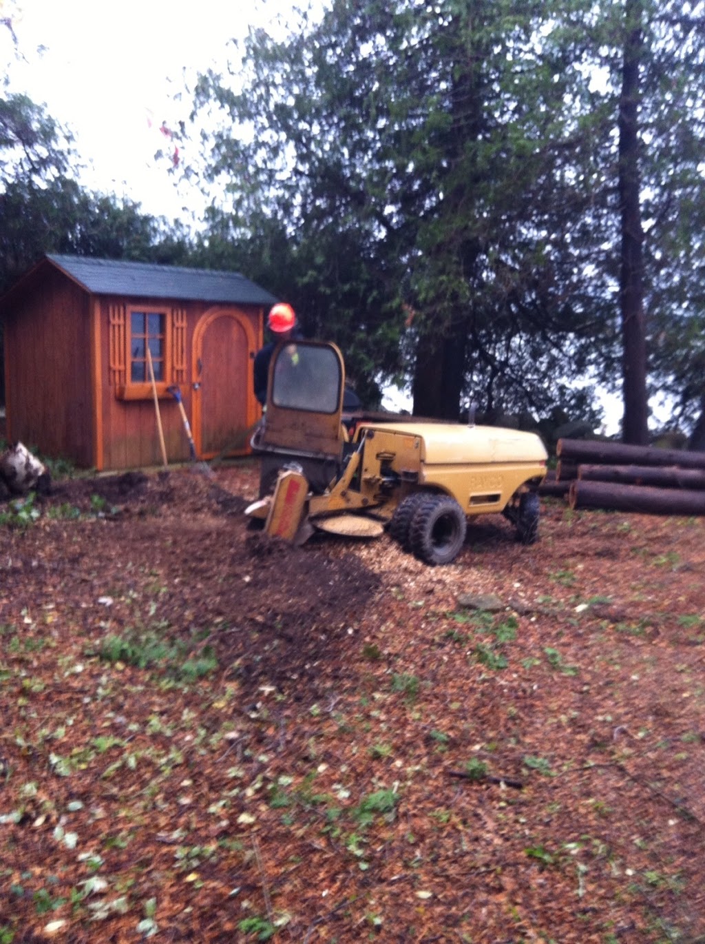 Huron Bay Tree Service | 79 Heather Lynn Blvd, Tara, ON N0H 2N0, Canada | Phone: (519) 934-3545