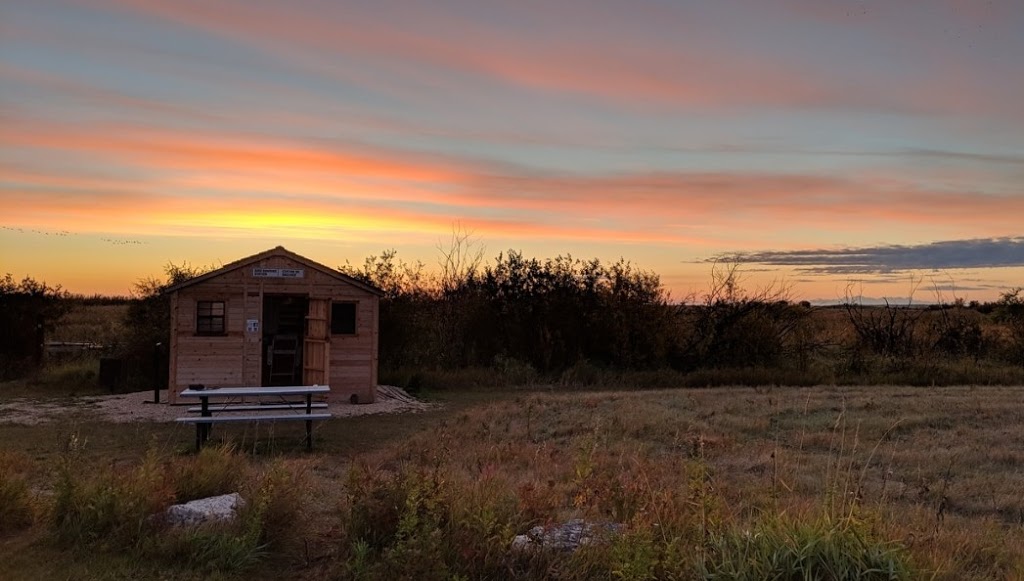 Delta Marsh Bird Observatory | Rockwood, MB R0C 3A0, Canada