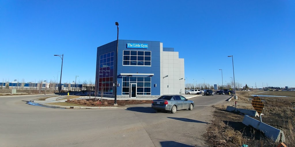 The Little Gym of Edmonton | 6271 Andrews Loop Southwest Unit 201, Edmonton, AB T6W 0L6, Canada | Phone: (780) 434-9388