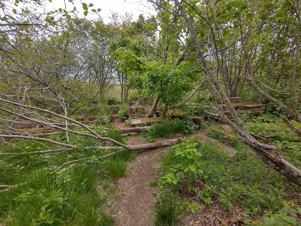 Sheldon Point Trailhead | Saint John, NB E2M 4Z9, Canada | Phone: (506) 653-7367