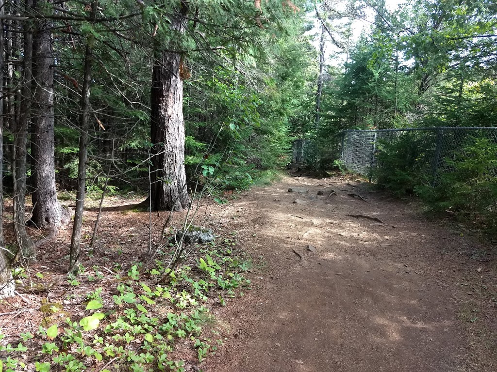 Trowbridge Falls Municipal Campground | 16 Copenhagen Rd, Thunder Bay, ON P7B 6B3, Canada | Phone: (807) 683-6661