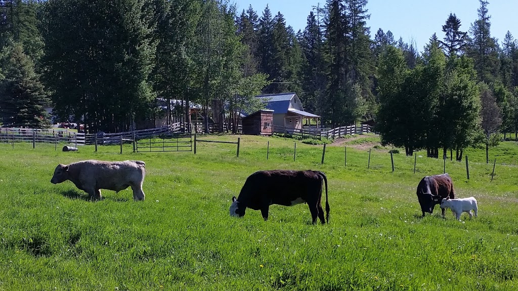 Spruce Springs Station | 1230 Wiggins Rd, Bridesville, BC V0H 1B0, Canada | Phone: (250) 446-2288