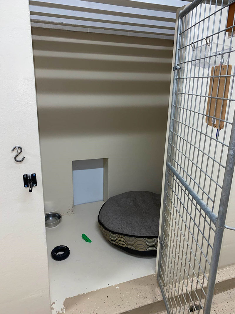 Camrose Kennels | 4806 168 St, Surrey, BC V3S 0L2, Canada | Phone: (604) 576-6547