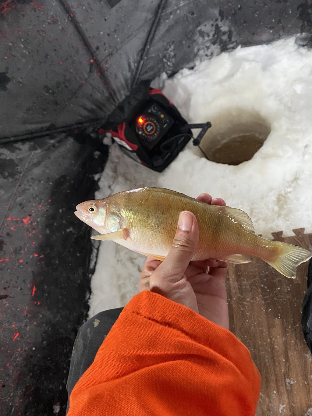 Williams Angling | Box 2331, Wanipigow, MB R0E 2E0, Canada | Phone: (204) 333-8348
