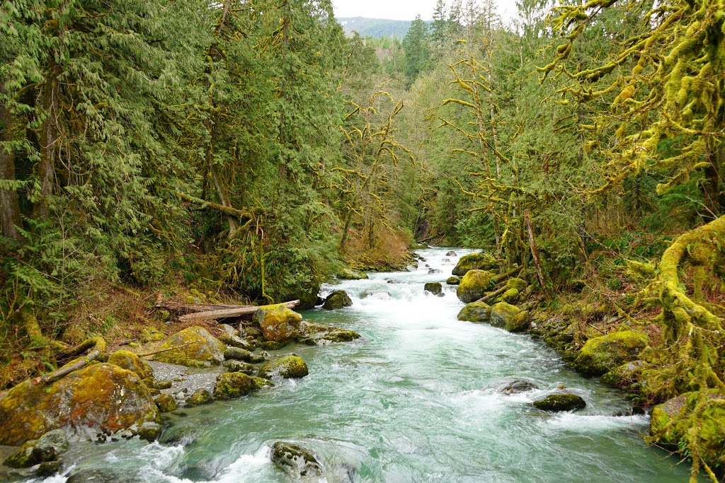 Chilliwack River Provincial Park | Rosedale, BC V0X 1X0, Canada