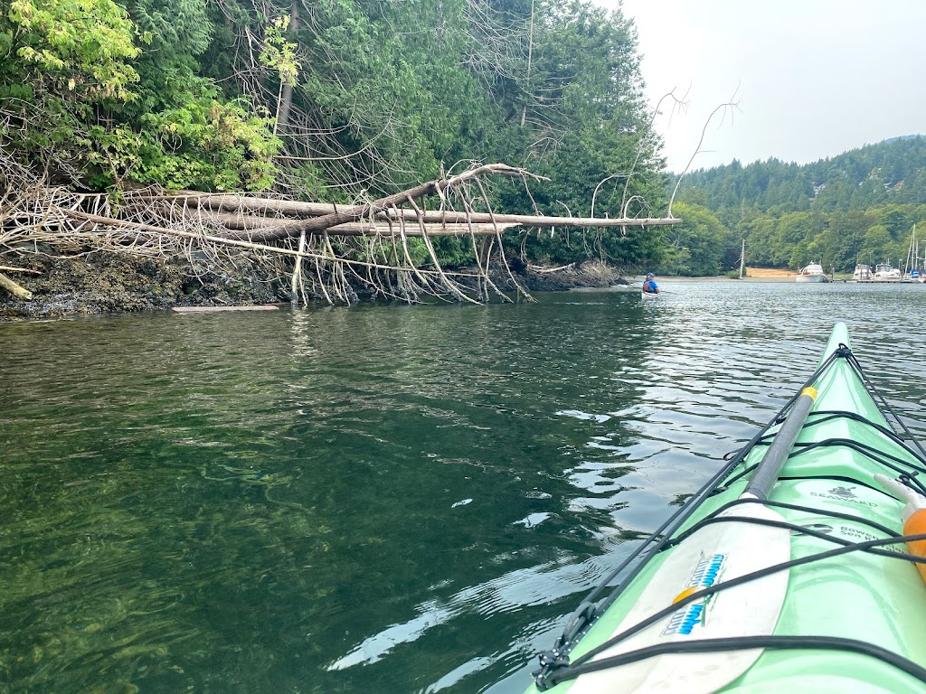 Bowen Island Sea Kayaking | Bowen Island Marina, Bowen Island, BC V0N 1G0, Canada | Phone: (800) 605-2925