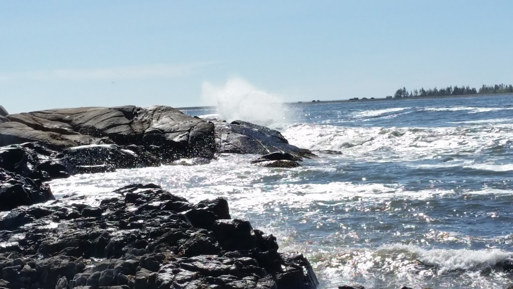 Mighty Atlantic Guest House | 968 Brooklyn Shore Rd, Brooklyn, NS B0J 1H0, Canada | Phone: (902) 350-2215