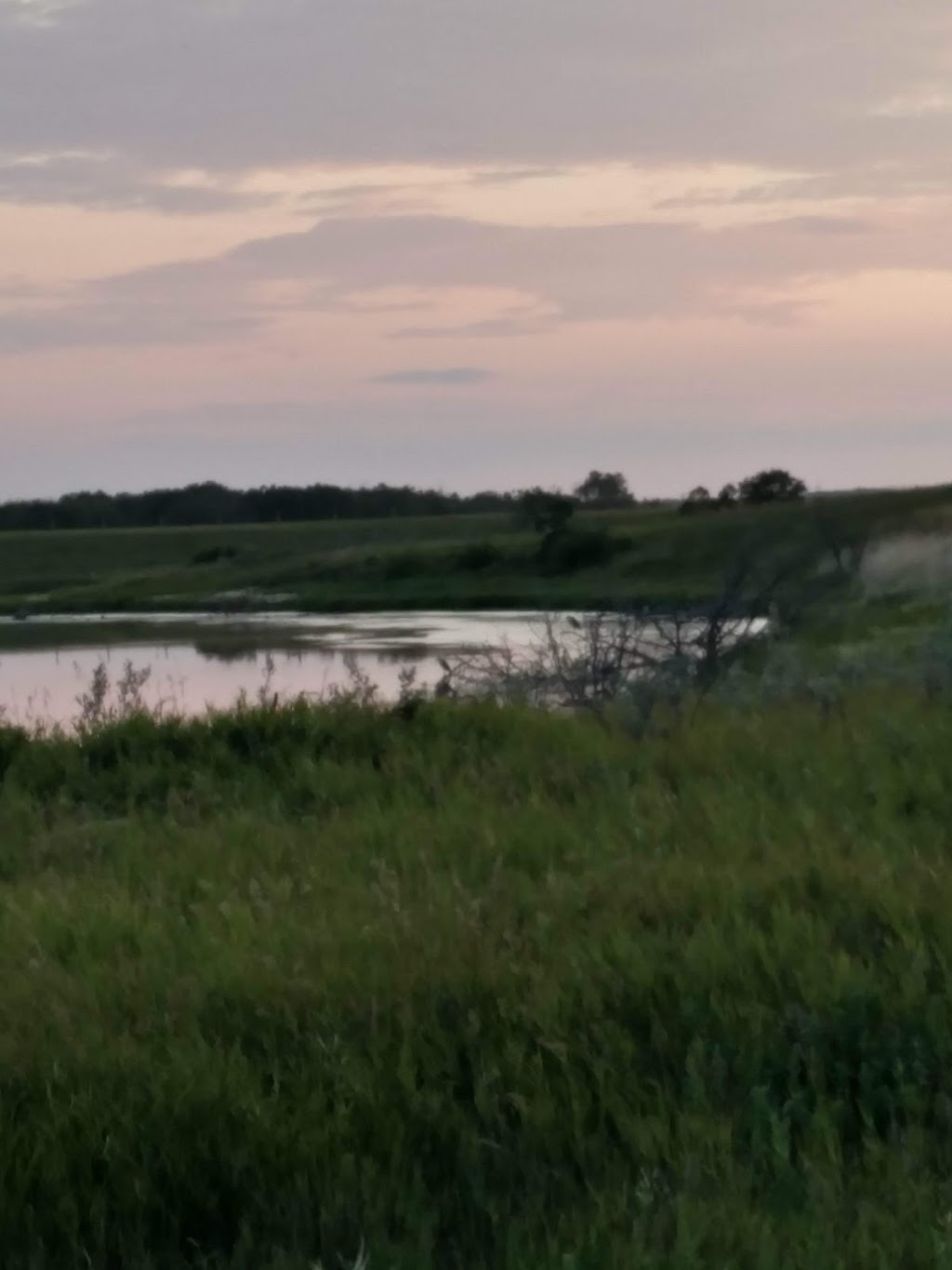 Manitou Beach Golf Club | NE of 3-32-25 West of 2nd, Watrous, SK S0K 4T0, Canada | Phone: (306) 946-2861
