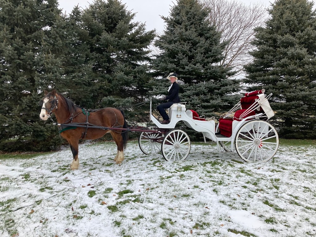 K.C.L Carriages | 86546 Laurier Line, Goderich, ON N7A 3X9, Canada | Phone: (519) 525-0127