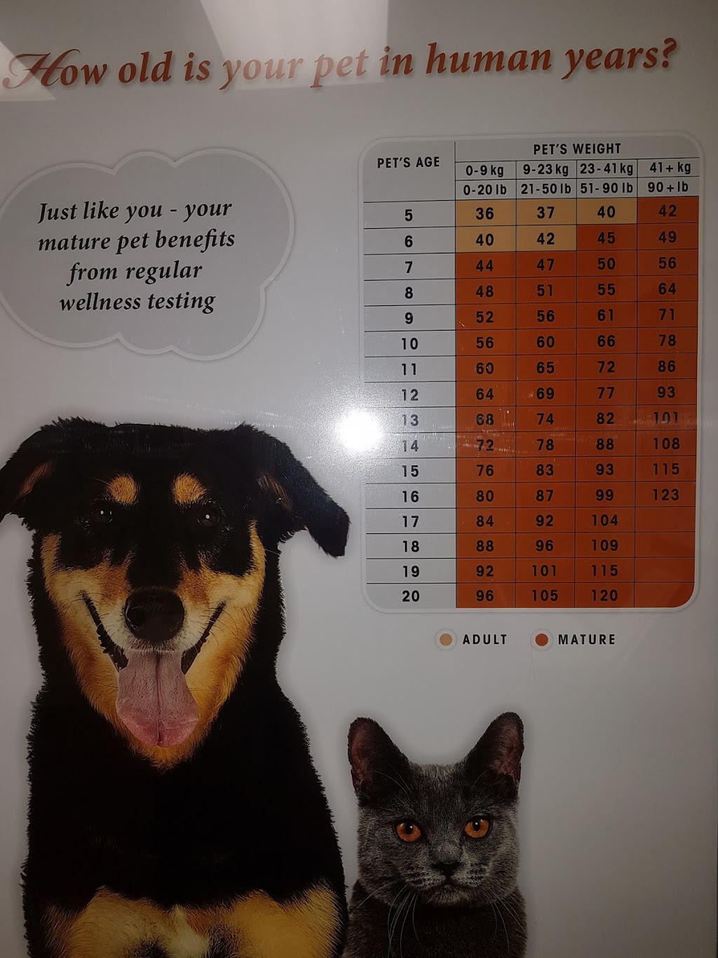 Oxford County Veterinary Clinic | 570 Ingersoll Ave, Woodstock, ON N4S 4Y2, Canada | Phone: (519) 290-9400