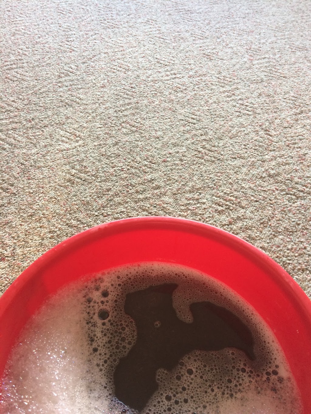 Kootenay Carpet Cleaning (+ Upholstery & Vehicle) | 2304 7th St N Unit B, Cranbrook, BC V1C 5H6, Canada | Phone: (250) 919-9200