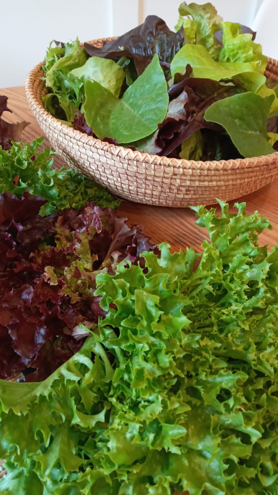 Ear to The Earth Farm | 31170 Range Road 52A #10, Site 2, RR 2, Sundre, AB T0M 1X0, Canada | Phone: (403) 907-4590