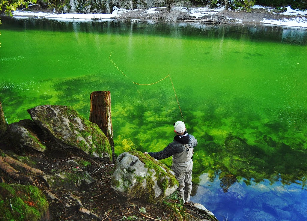 Chromer Sport Fishing | 942 Belvedere Dr, North Vancouver, BC V7R 2C1, Canada | Phone: (604) 366-3363