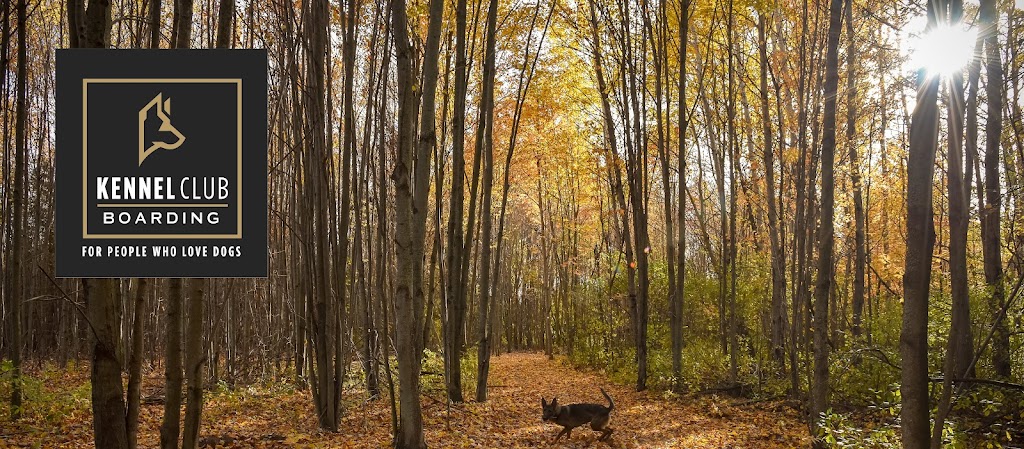 Kennel Club Boarding | 5673 Fourth Line Rd, North Gower, ON K0A 2T0, Canada | Phone: (613) 276-5074