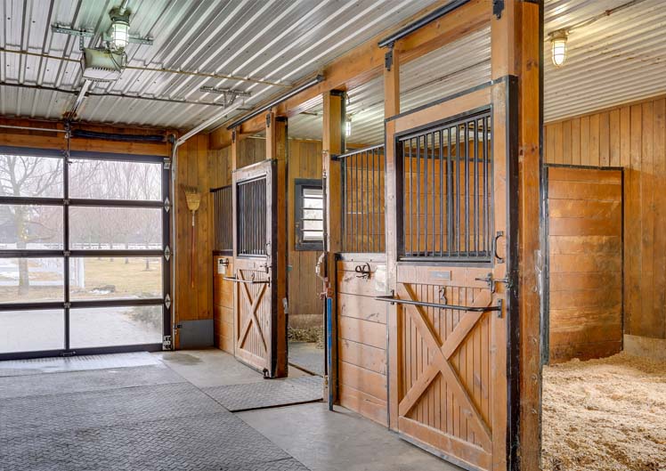 Alpine Equestrian Centre | 795601 Osler Bluff Rd, Collingwood, ON L9Y 3Y9, Canada | Phone: (705) 293-0144
