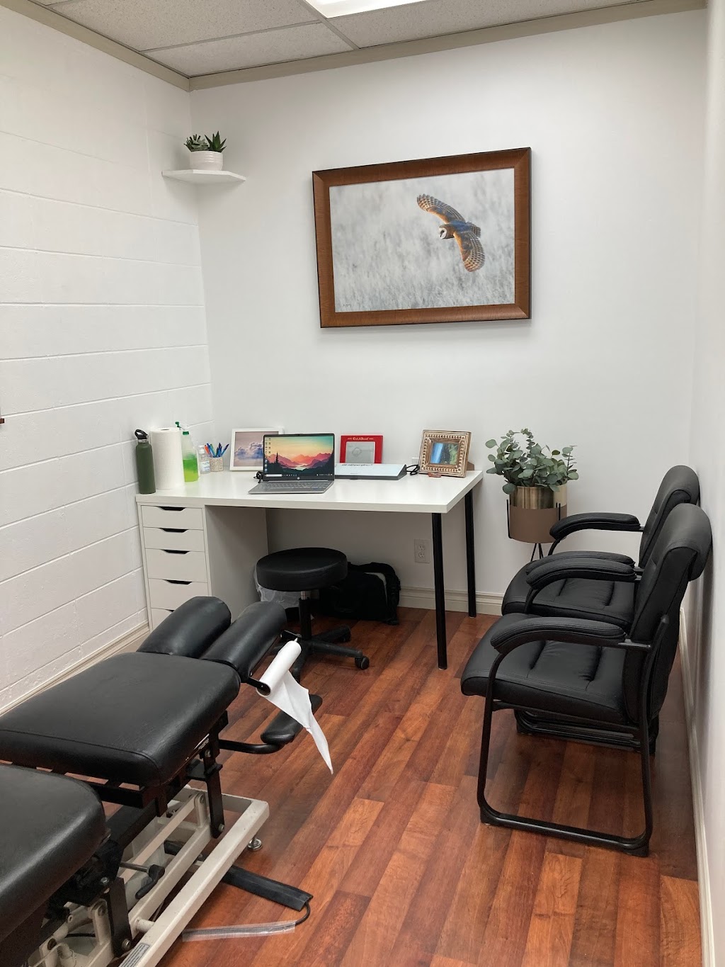 King Chiropractic | 4816 51 Ave, Innisfail, AB T4G 1M2, Canada | Phone: (403) 318-2666
