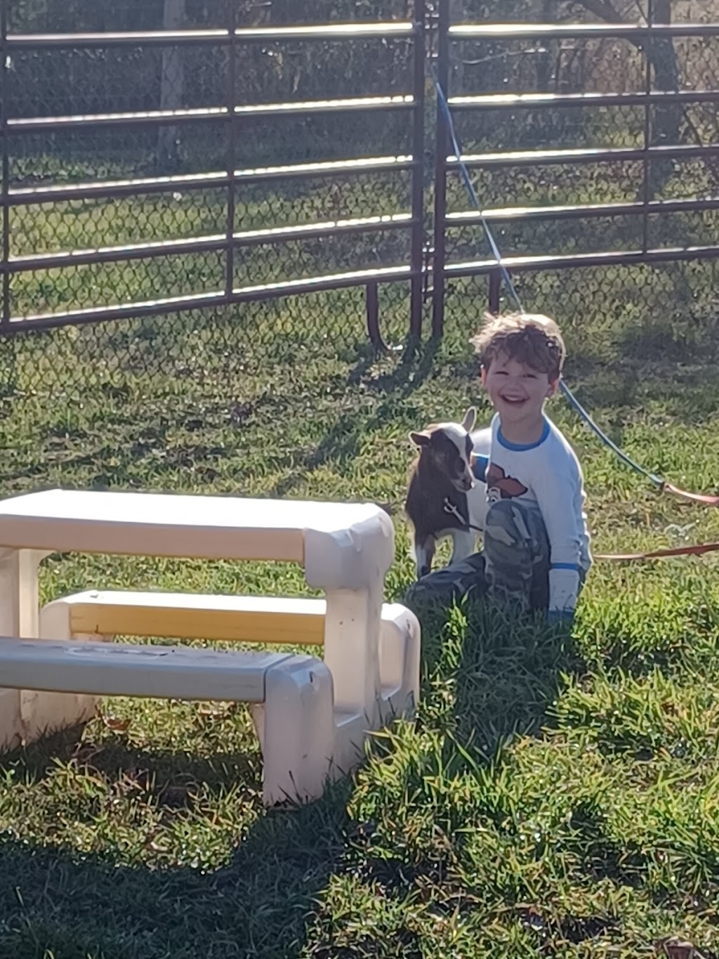 STARDUST ACRES A FLAHERTY FARM | 205 Pickerel Point Rd RR6, Lindsay, ON K9V 4R6, Canada | Phone: (705) 344-5580