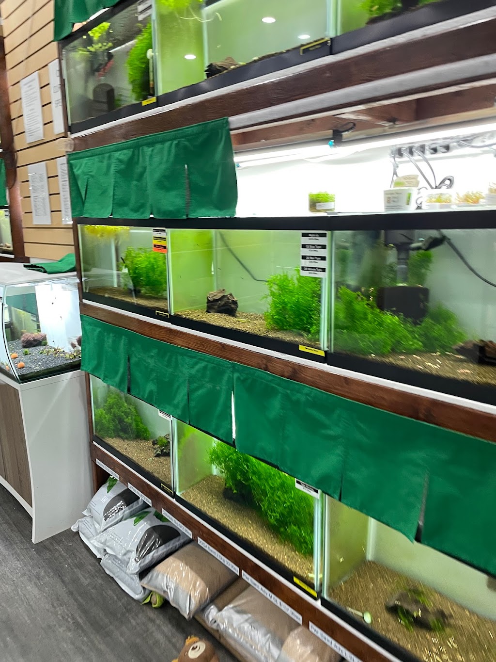 ShrimpFever Aquarium | 210 Silver Star Blvd Unit 801, Scarborough, ON M1V 5J9, Canada | Phone: (647) 667-6161