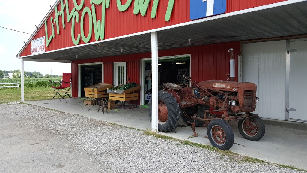Little Brown Cow | 234 Cockshutt Rd, Brantford, ON N3T 5L6, Canada | Phone: (519) 503-6852