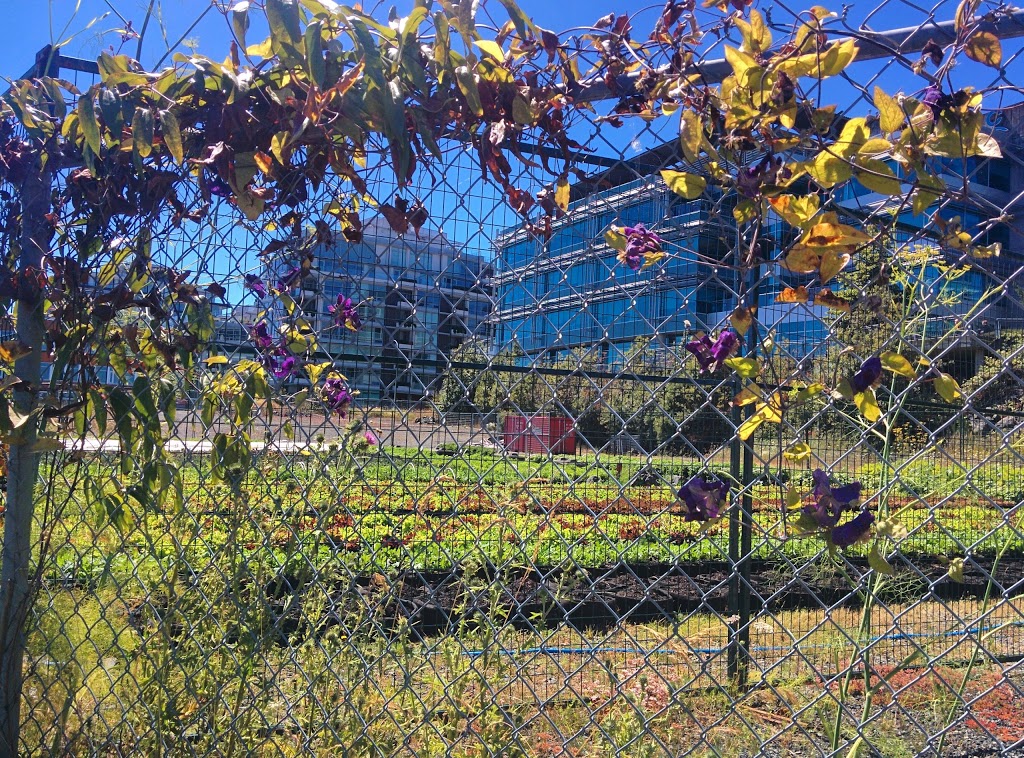 Captain Jacobson Park | 487-, 525 Head St, Victoria, BC V9A 5S1, Canada