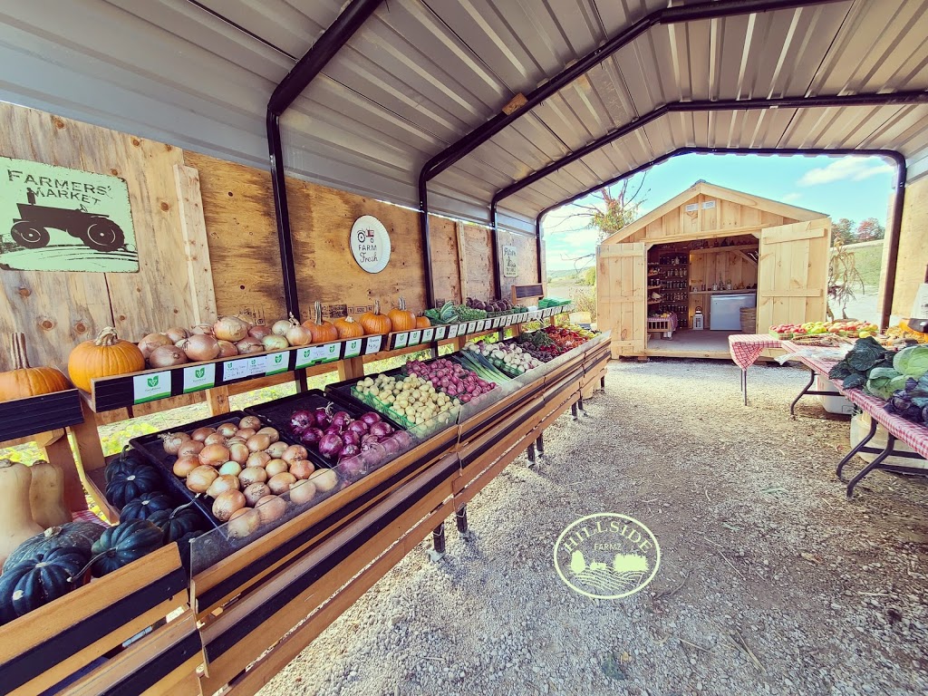 Hillside Farmz | 938666 Airport Rd, Mulmur, ON L9V 0M1, Canada | Phone: (705) 984-3276