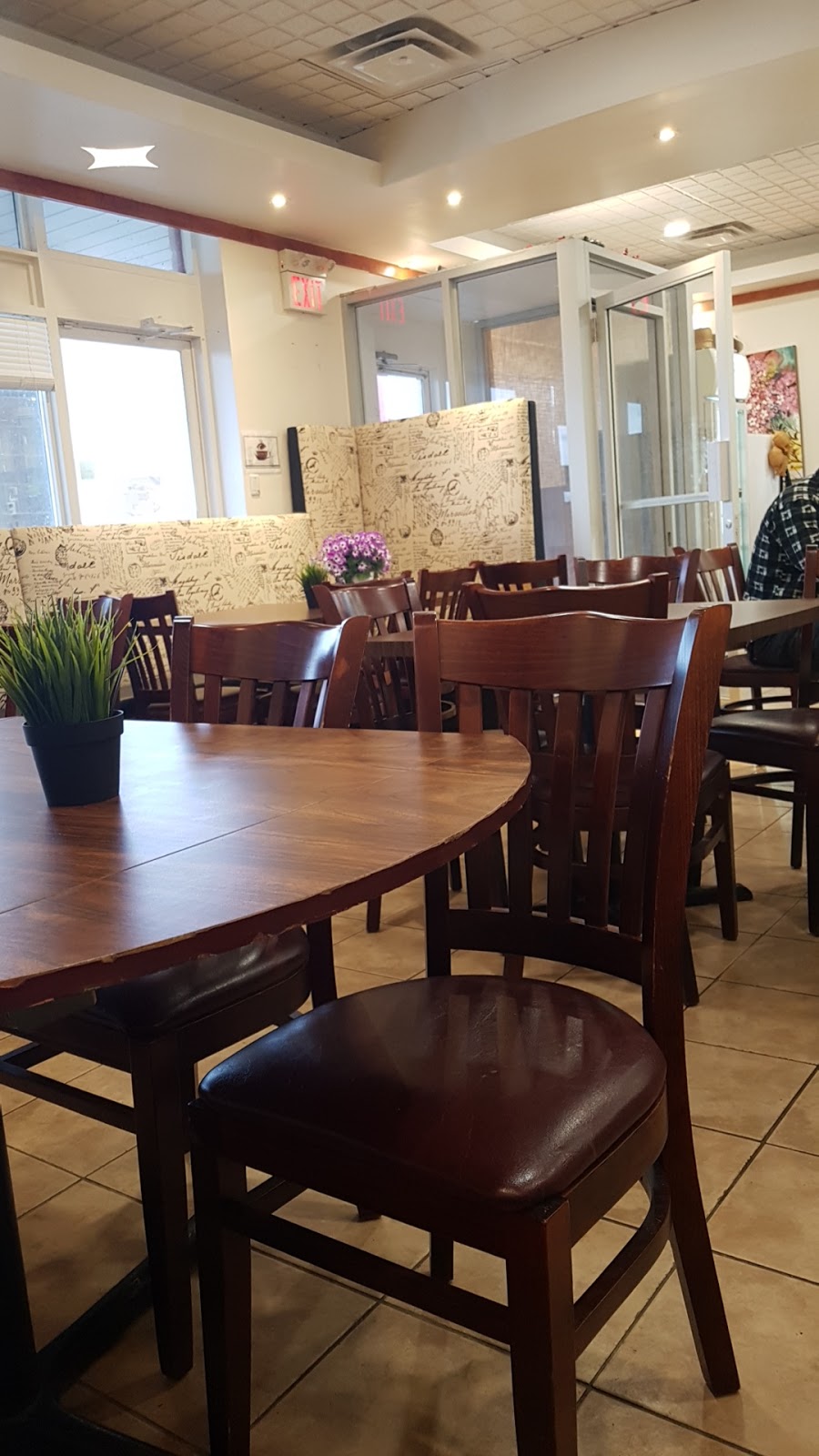 Thai Delight Plus | 6048 ON-9, Schomberg, ON L0G 1T0, Canada | Phone: (905) 939-8424