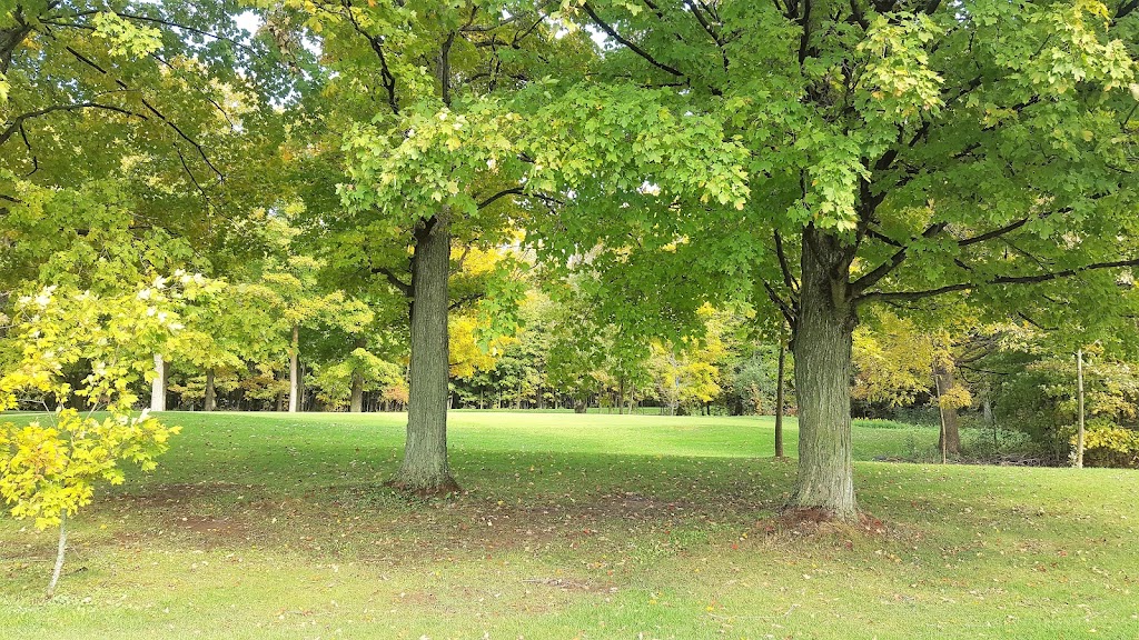 Stone Tree - Golf, Fitness and Banquets | 318085 Hwy 6&10, Owen Sound, ON N4K 5N6, Canada | Phone: (519) 376-7899