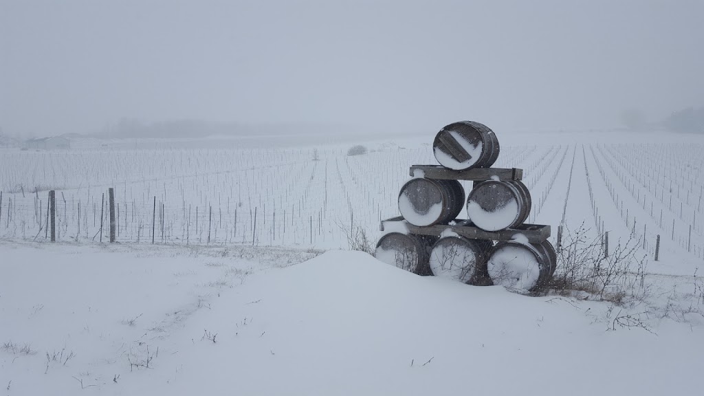Maleta Estate Winery | 450 Queenston Rd, Niagara-on-the-Lake, ON L0S 1J0, Canada | Phone: (905) 685-8486