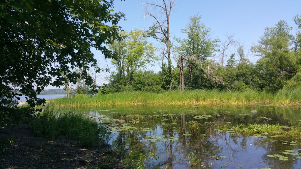 Deschênes Rapids | Sir John A. Macdonald Parkway, Ottawa, ON K2B 5L7, Canada