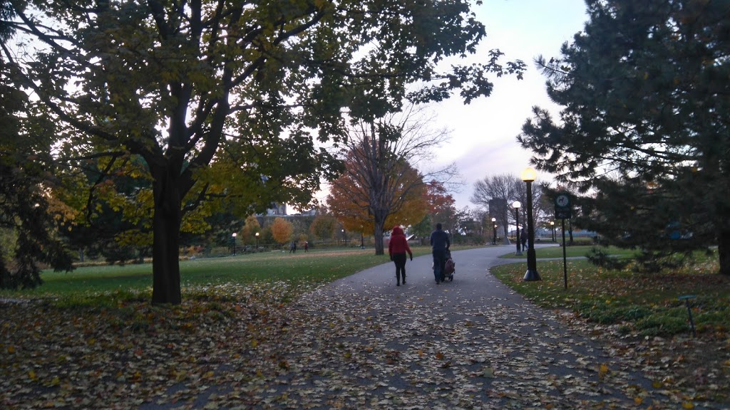 Ken Steele Park | 1195 Ogilvie Rd, Ottawa, ON K1J 1J9, Canada | Phone: (613) 580-2400