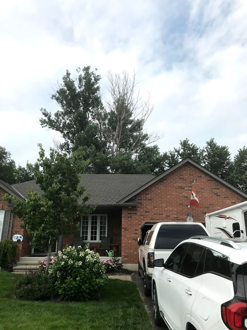 Zaps Tree Service | 6 Arthur Ct, Aylmer, ON N5H 2Z2, Canada | Phone: (519) 773-5811