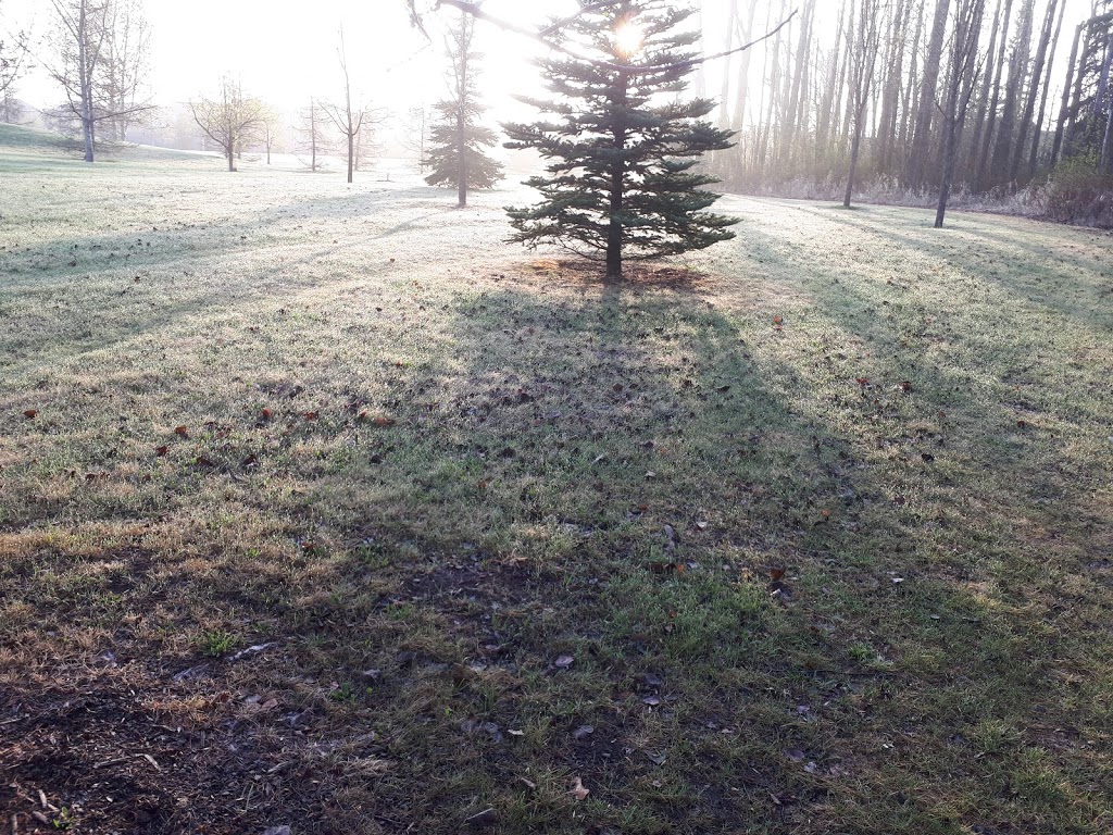 The Grange District Park | 413 Hemingway Rd NW, Edmonton, AB T6M 0J8, Canada