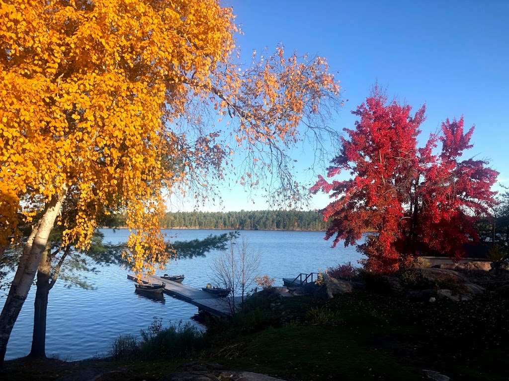 Mashkinonje Lodge | 566 Musky Island Rd, Lavigne, ON P0H 1R0, Canada | Phone: (800) 661-7085