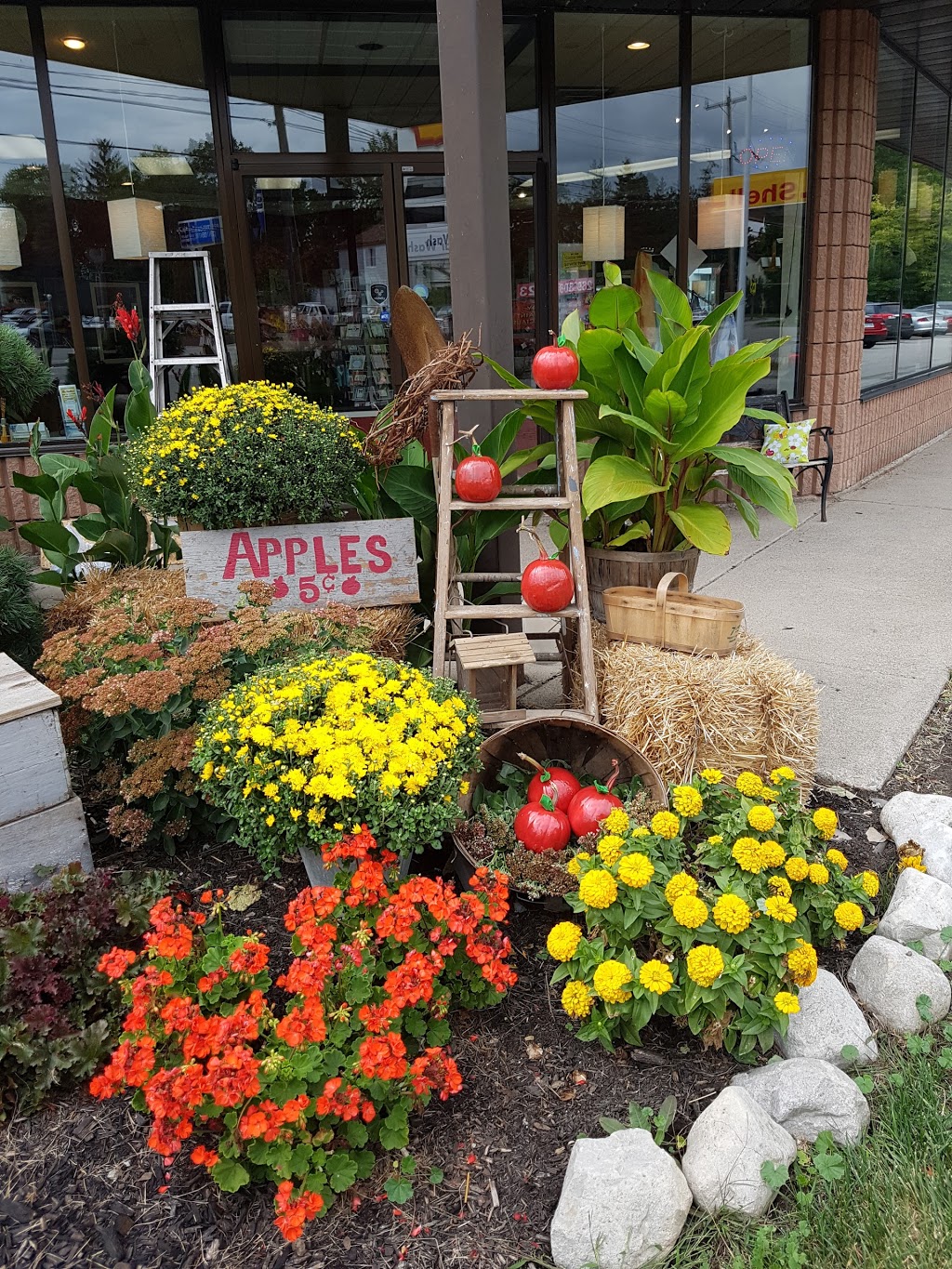 The New You Salon | 127 Argyle St S, Caledonia, ON N3W 1J1, Canada | Phone: (905) 765-4247