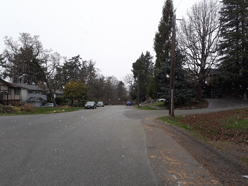 Annie Park | 991 Annie St, Victoria, BC V8X 3E9, Canada