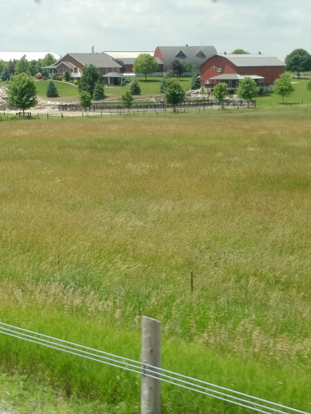 Huronway Farms | 84483 McNaught Line, Brussels, ON N0G 1H0, Canada | Phone: (519) 887-6181