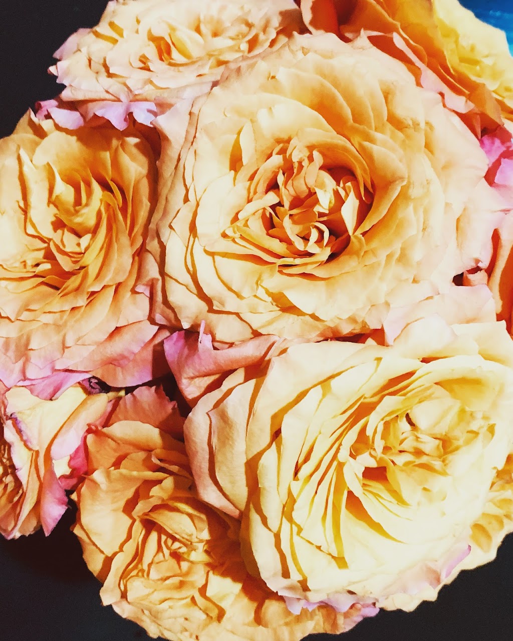 Okotoks Flowers | 49 Elizabeth St #9, Okotoks, AB T1S 1A5, Canada | Phone: (403) 938-4781