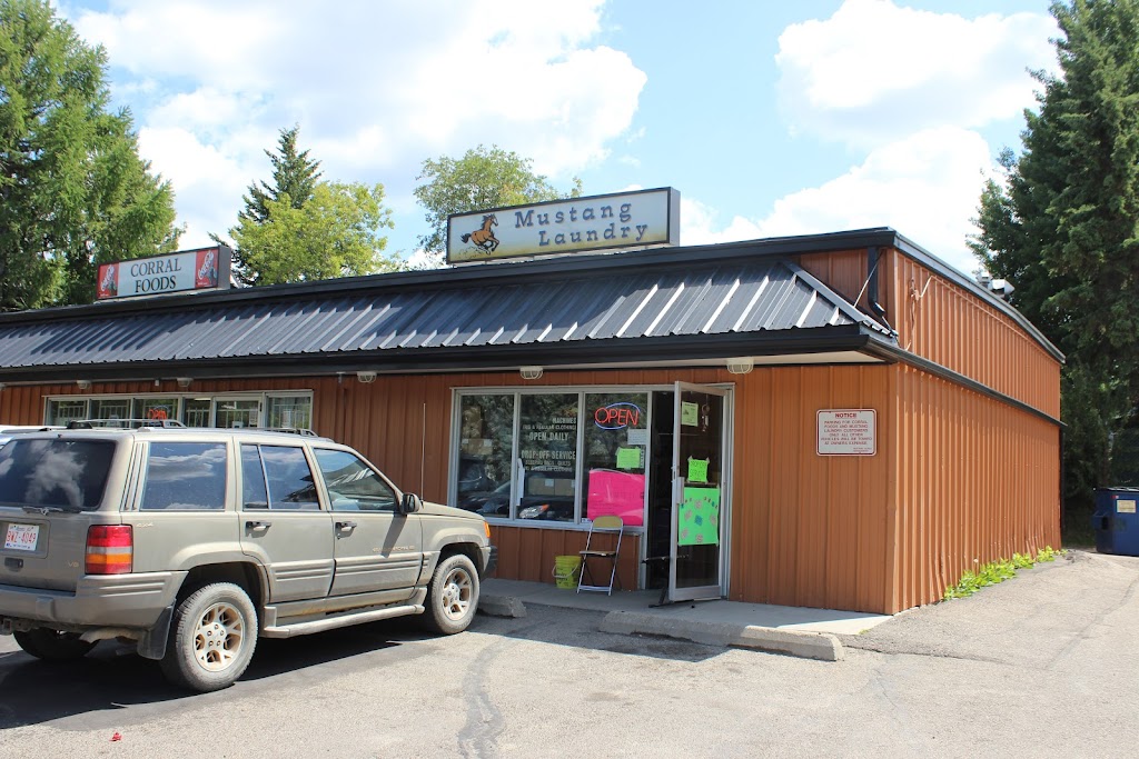 Mustang Laundry | 6834 59 Ave, Red Deer, AB T4P 1C9, Canada | Phone: (403) 343-0140