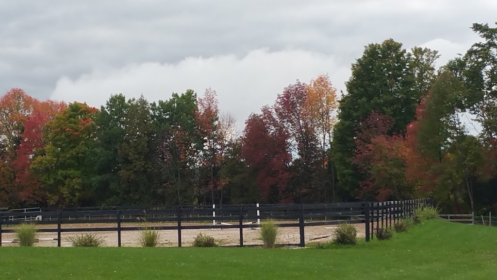 Shining Star Ranch | 52 Concession 2 Sdr, Walkerton, ON N0G 2M0, Canada | Phone: (519) 506-3321