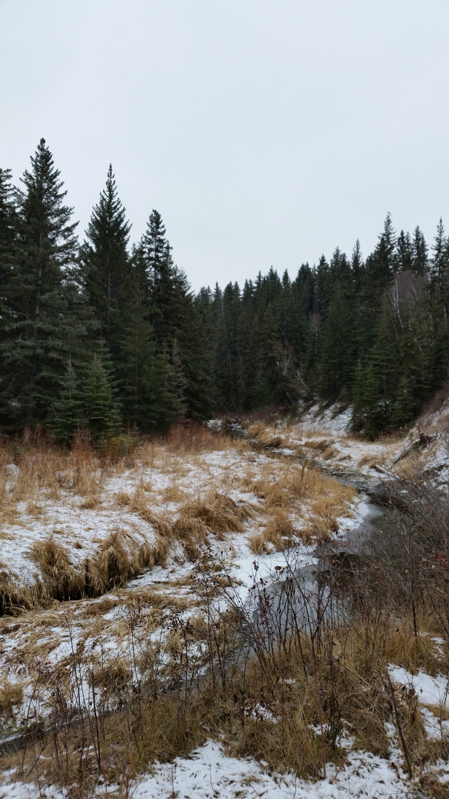 Blackburn Creek Park | 507 107 St SW, Edmonton, AB T6W 1A2, Canada