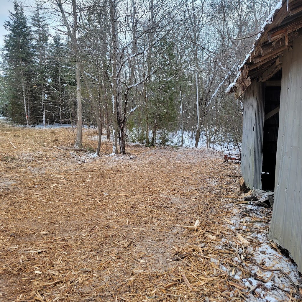 Rykon Forestry Mulching | 245 Brock Concession Rd 2, Sunderland, ON L0C 1H0, Canada | Phone: (289) 383-5789